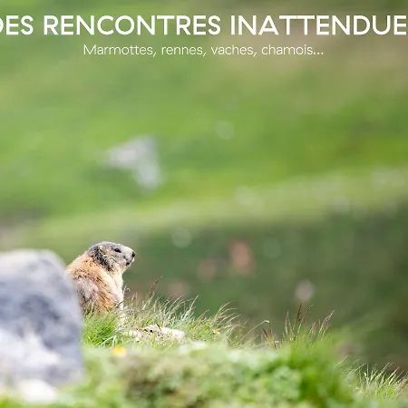 Hotel Ecrin Blanc - Aquapark