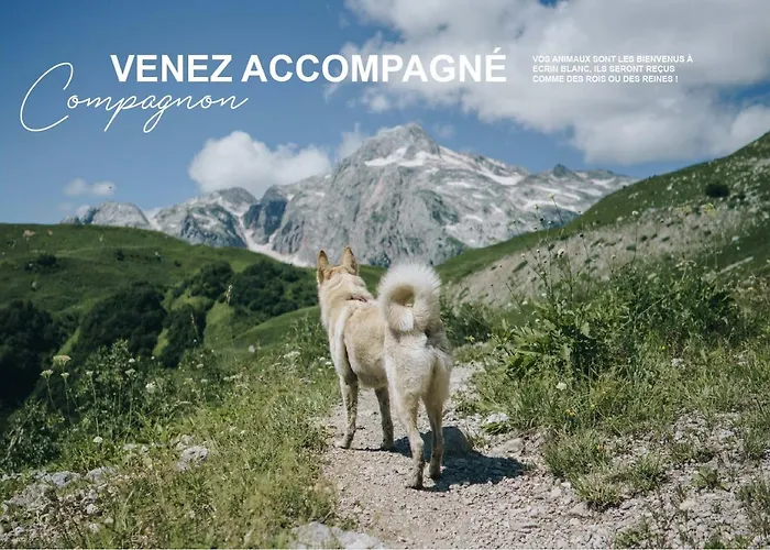 Szálloda Ecrin Blanc - Aquapark 4*