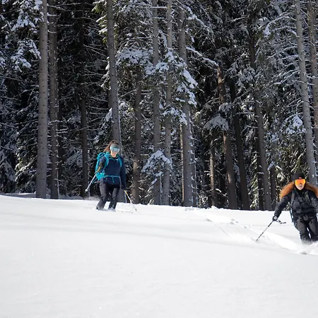 Ecrin Blanc - Aquapark 谷雪维尔