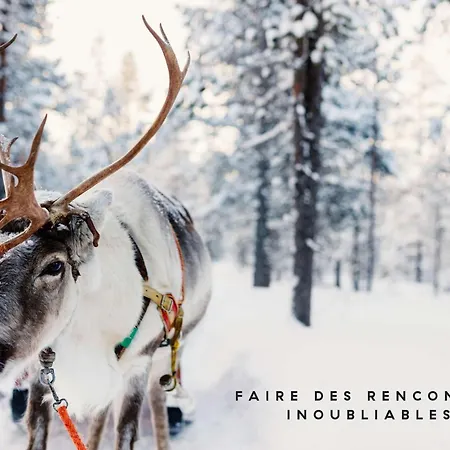 Ecrin Blanc - Aquapark 酒店