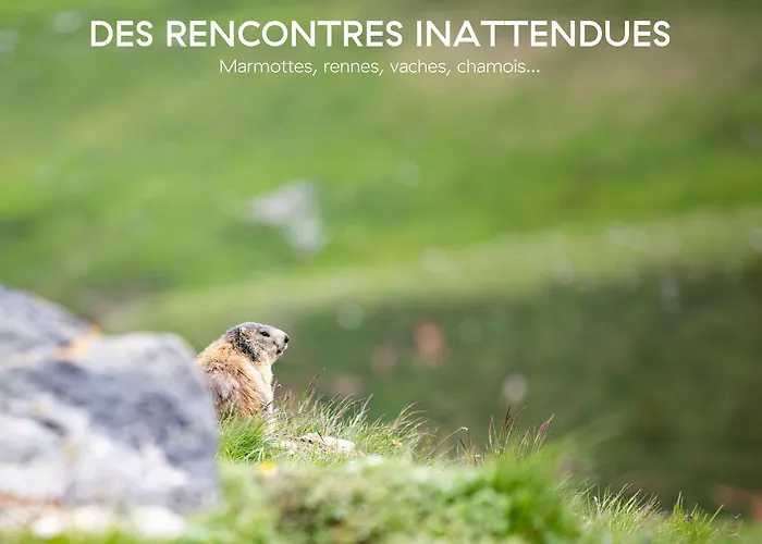 酒店 Ecrin Blanc - Aquapark